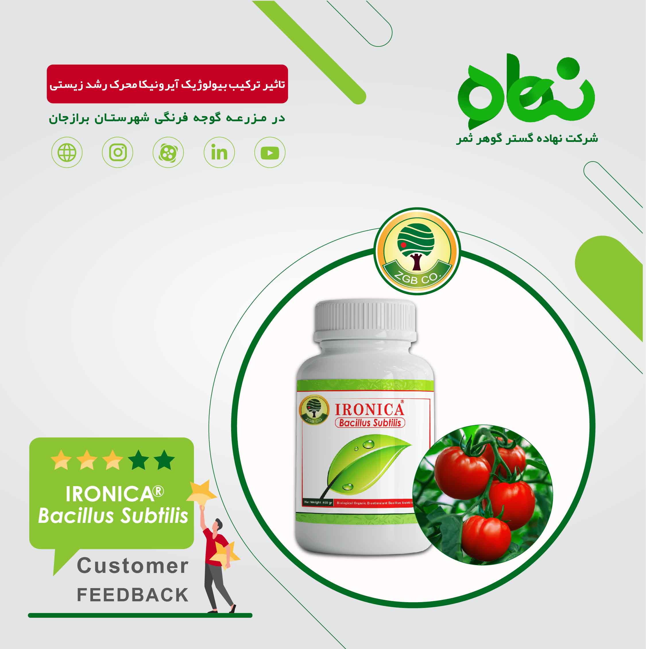 The effect of the biological composition of Ironica as a biological growth stimulant in Borazjan city